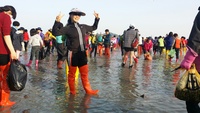 38th Jindo Miracle Sea Road Festival 27